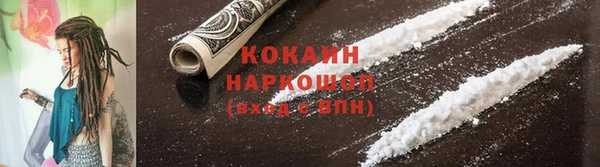 бошки Белокуриха